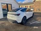 Tesla Model Y Image 3
