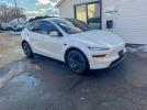 Tesla Model Y Image 6