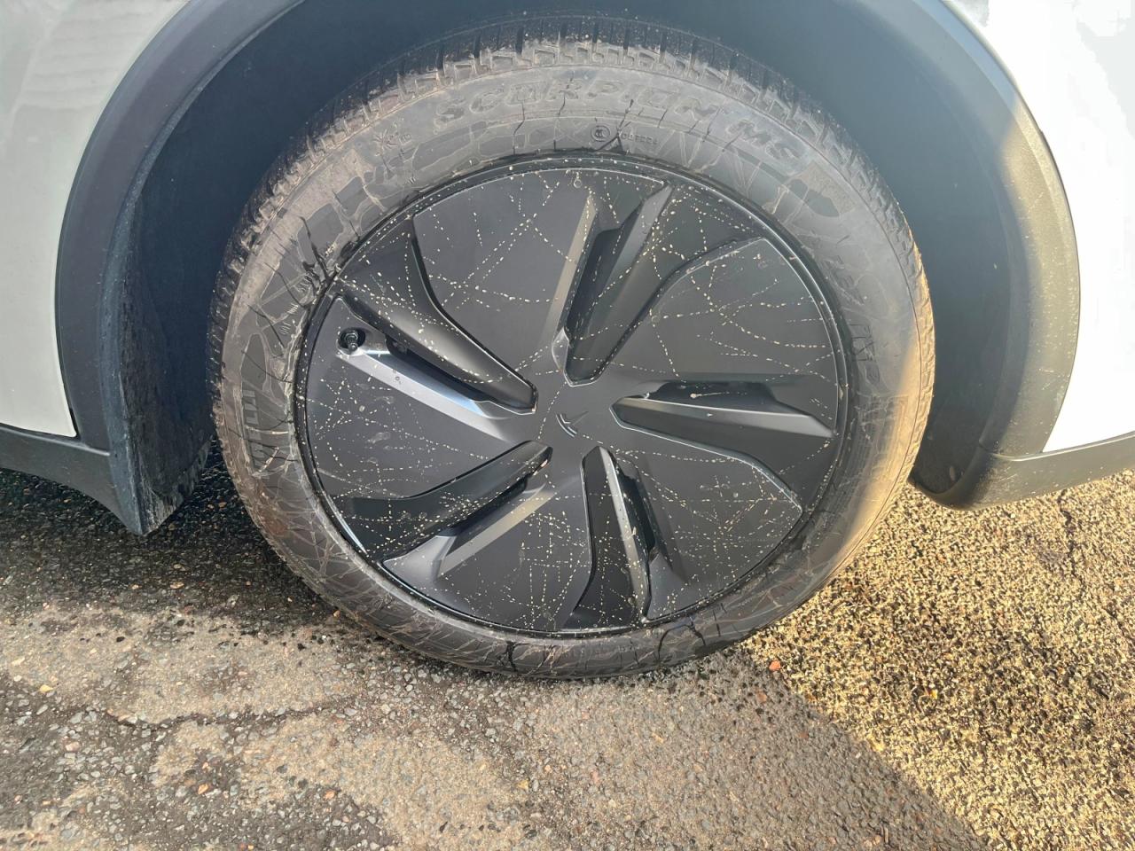 Tesla Model Y Image 5