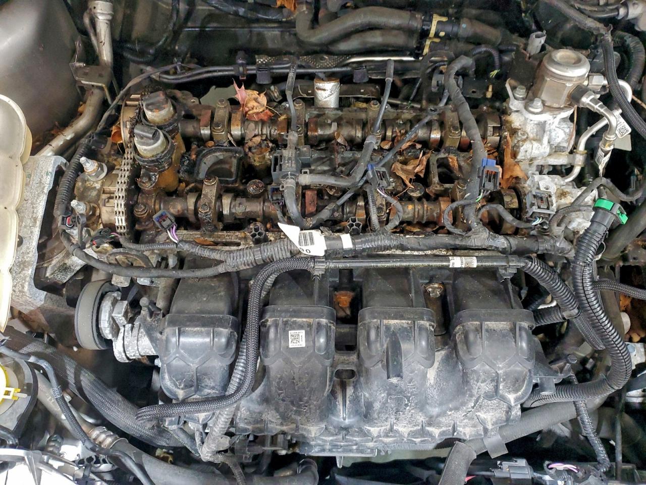 Ford Escape Se Image 7