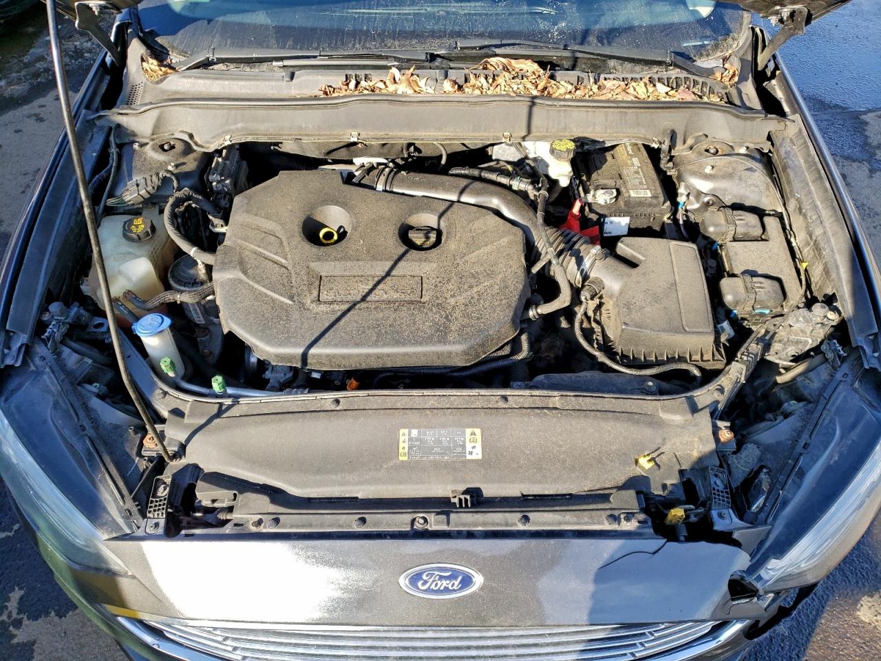 Ford Fusion Se Image 8