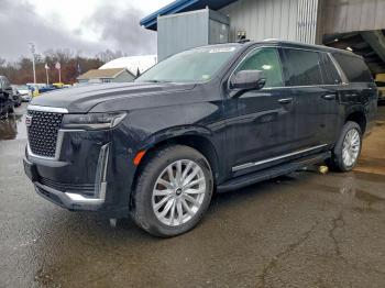  Salvage Cadillac Escalade