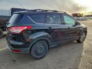 Ford Escape Sel Image 6