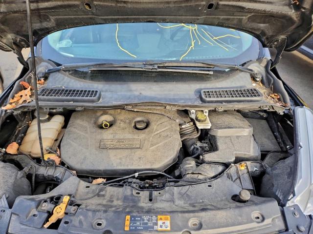 Ford Escape Sel Image 3