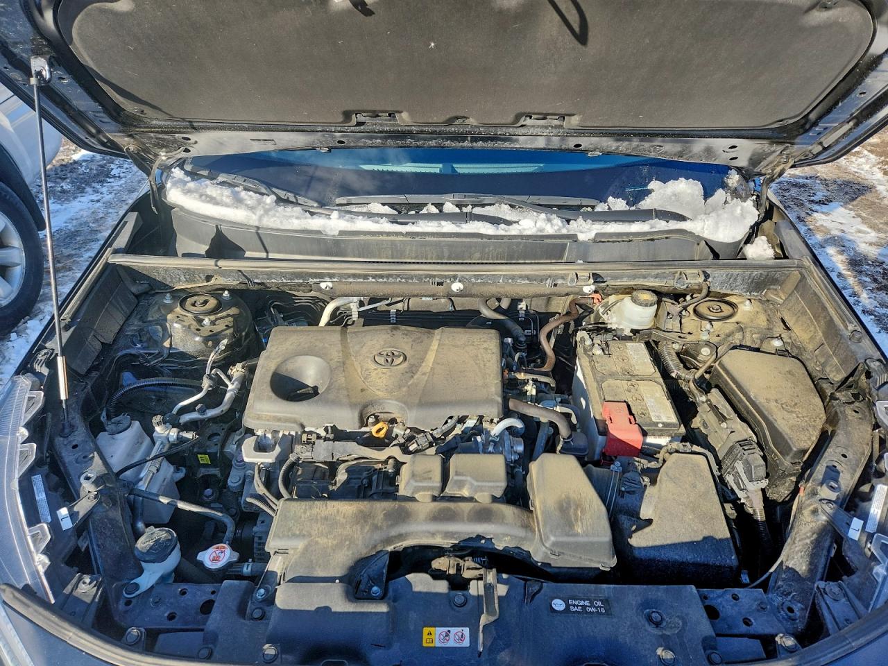 Toyota RAV4 Xle Image 5