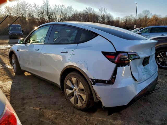 Tesla Model Y Image 2
