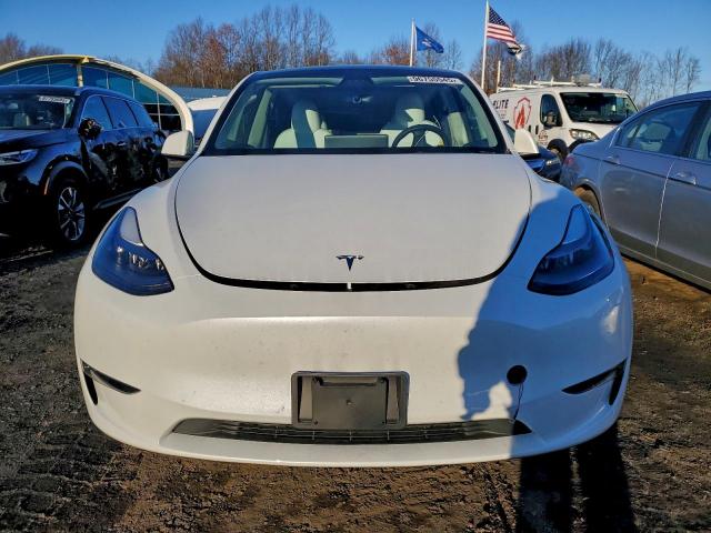 Tesla Model Y Image 3