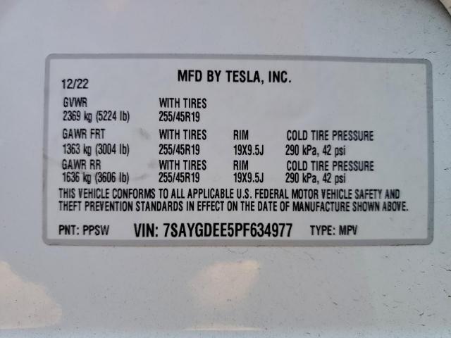Tesla Model Y Image 5
