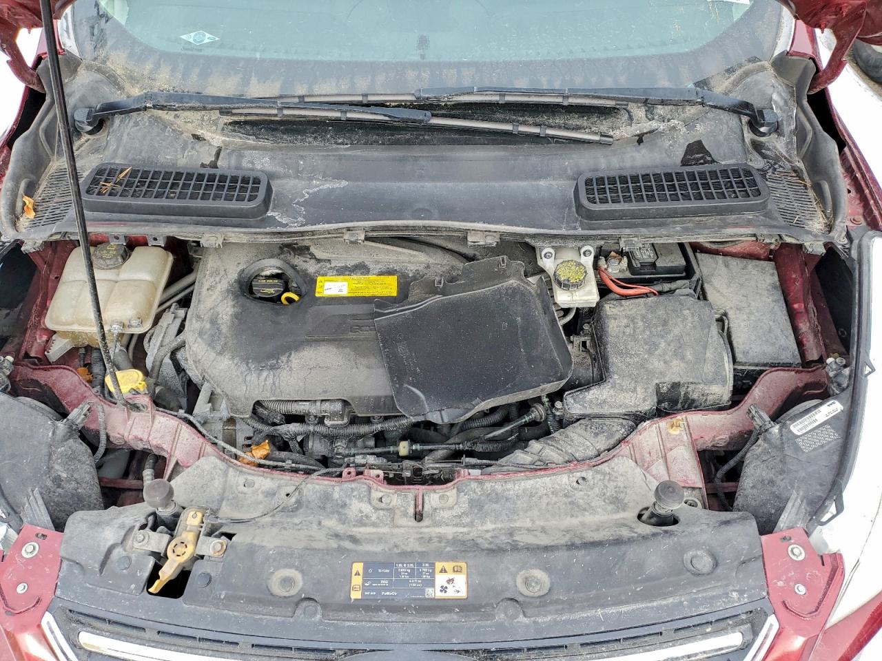 Ford Escape Titanium Image 9