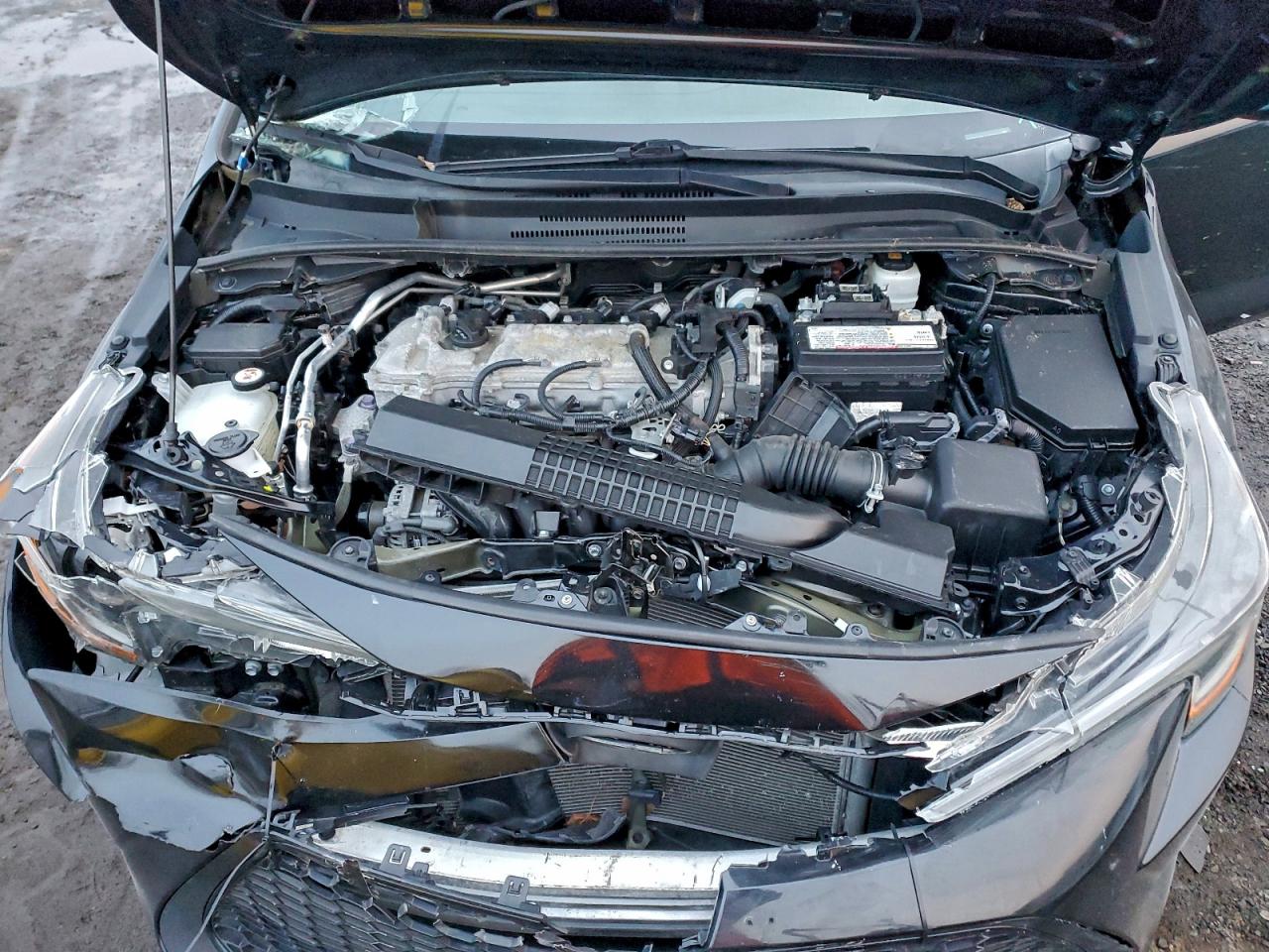 Toyota Corolla Le Image 7