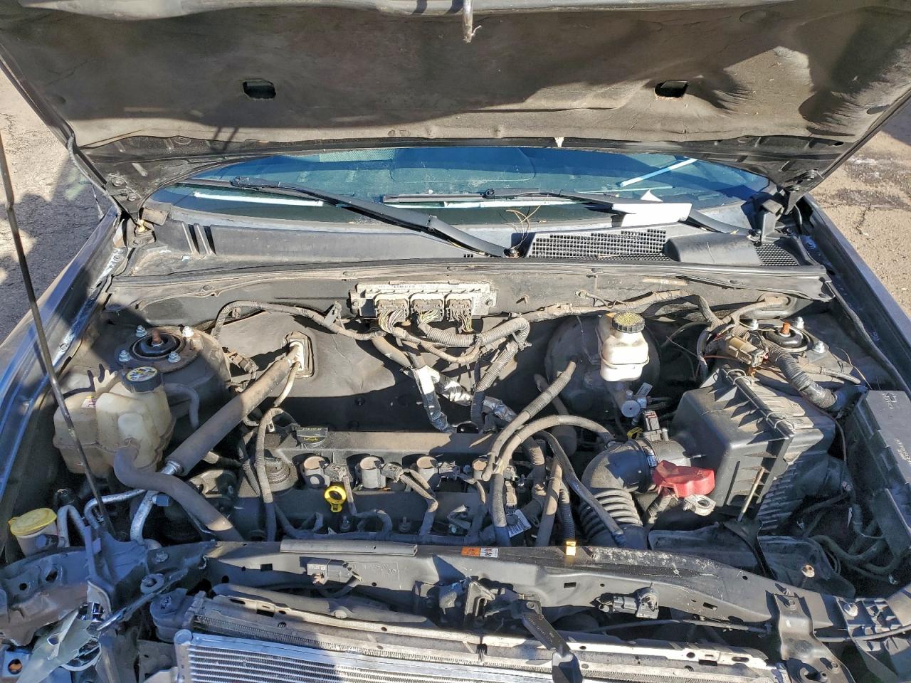 Ford Escape Xlt Image 9