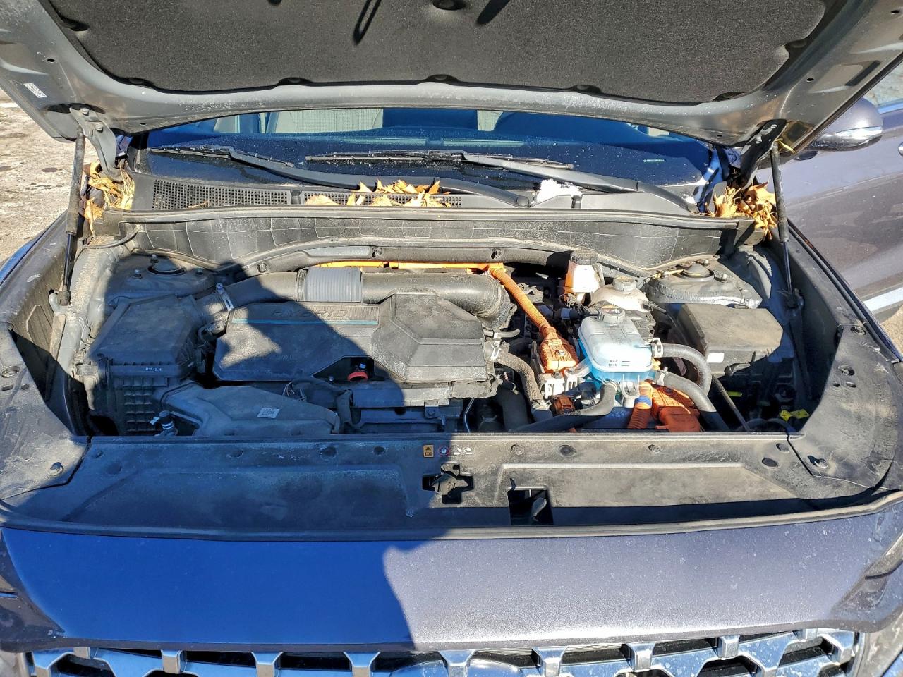 Hyundai SANTA FE Sel Image 13