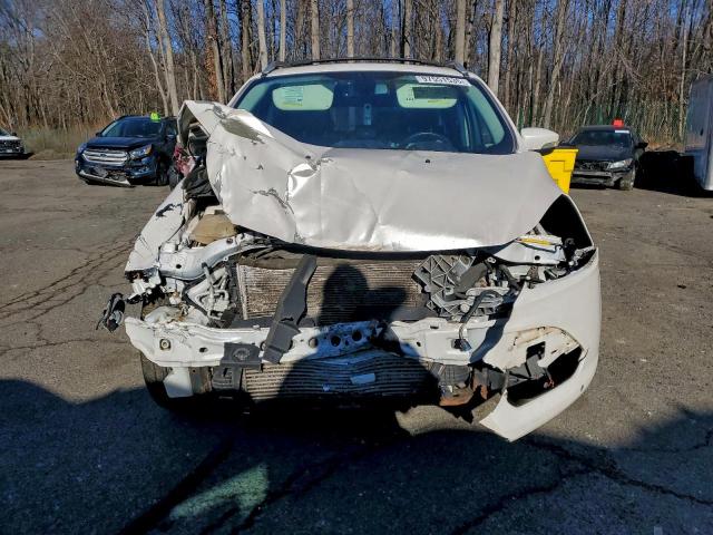 Ford Escape Titanium Image 4