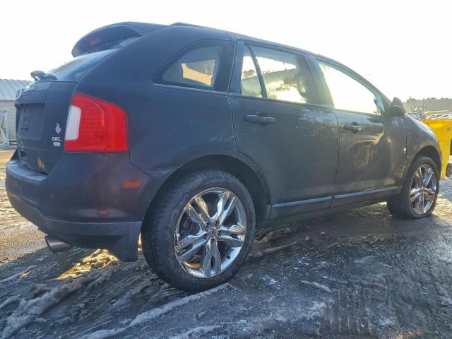 Ford Edge Sel Image 4