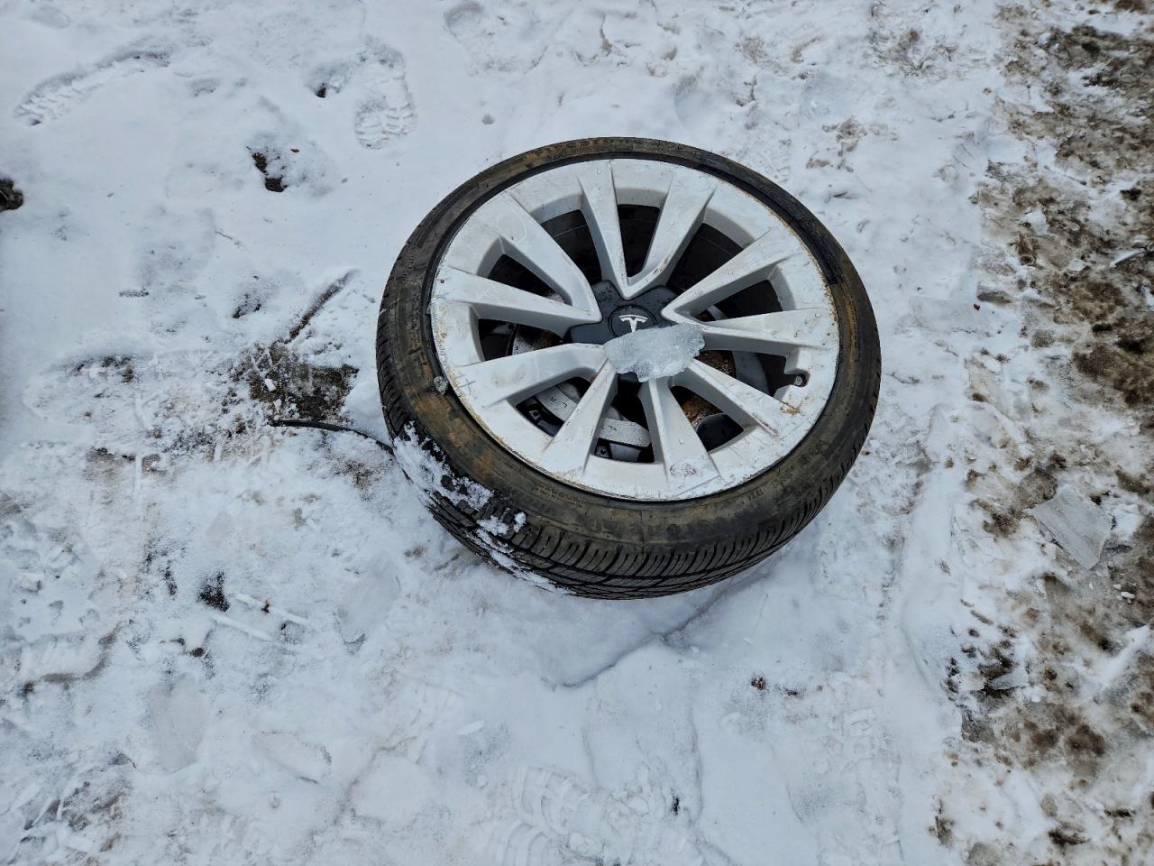 Tesla Model 3 Image 13