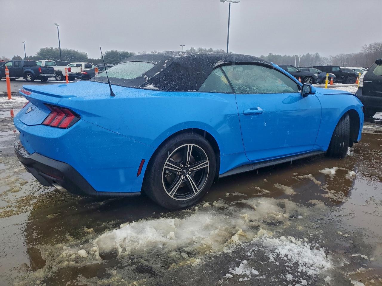 Ford Mustang Image 3