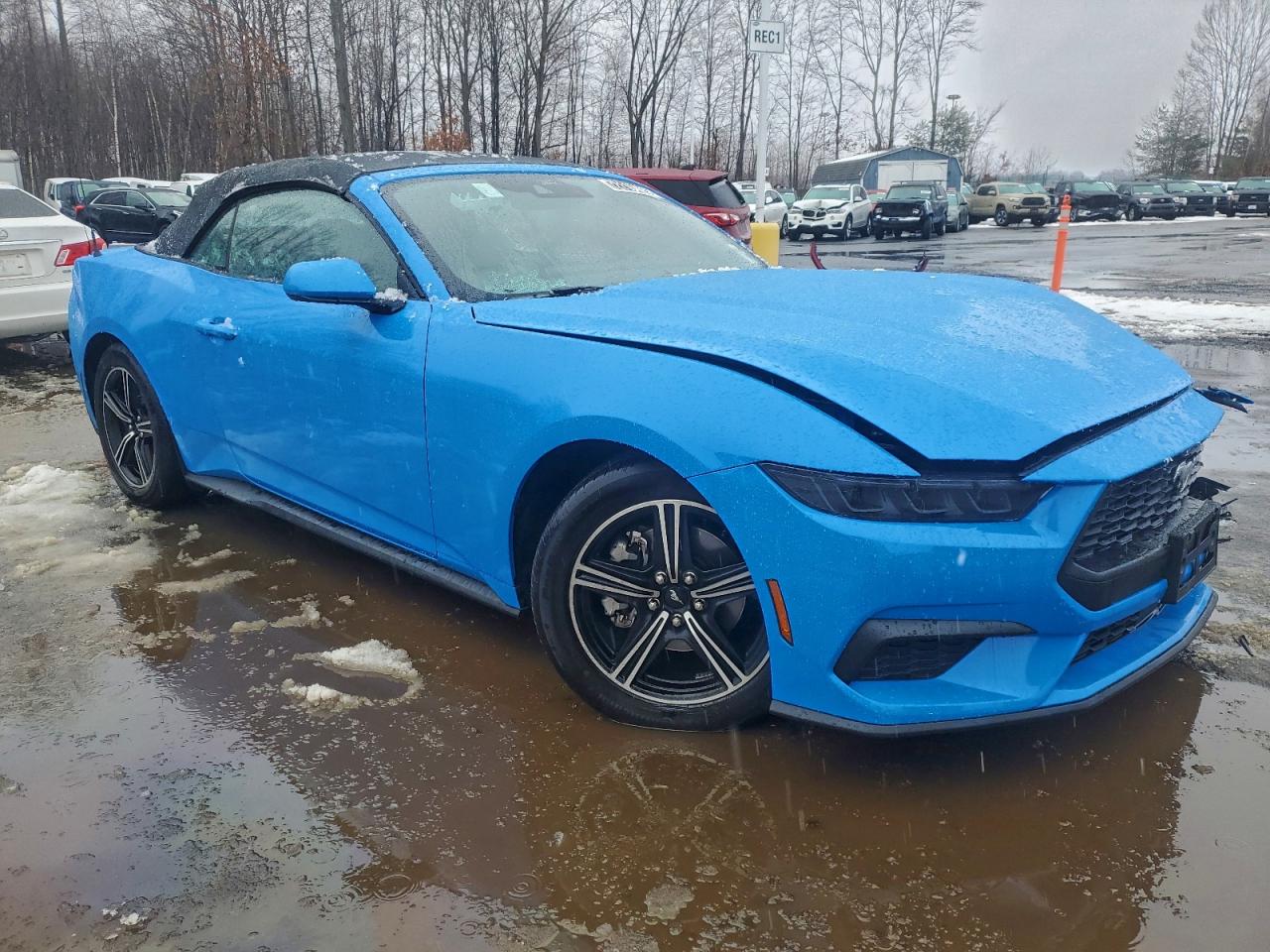 Ford Mustang Image 8